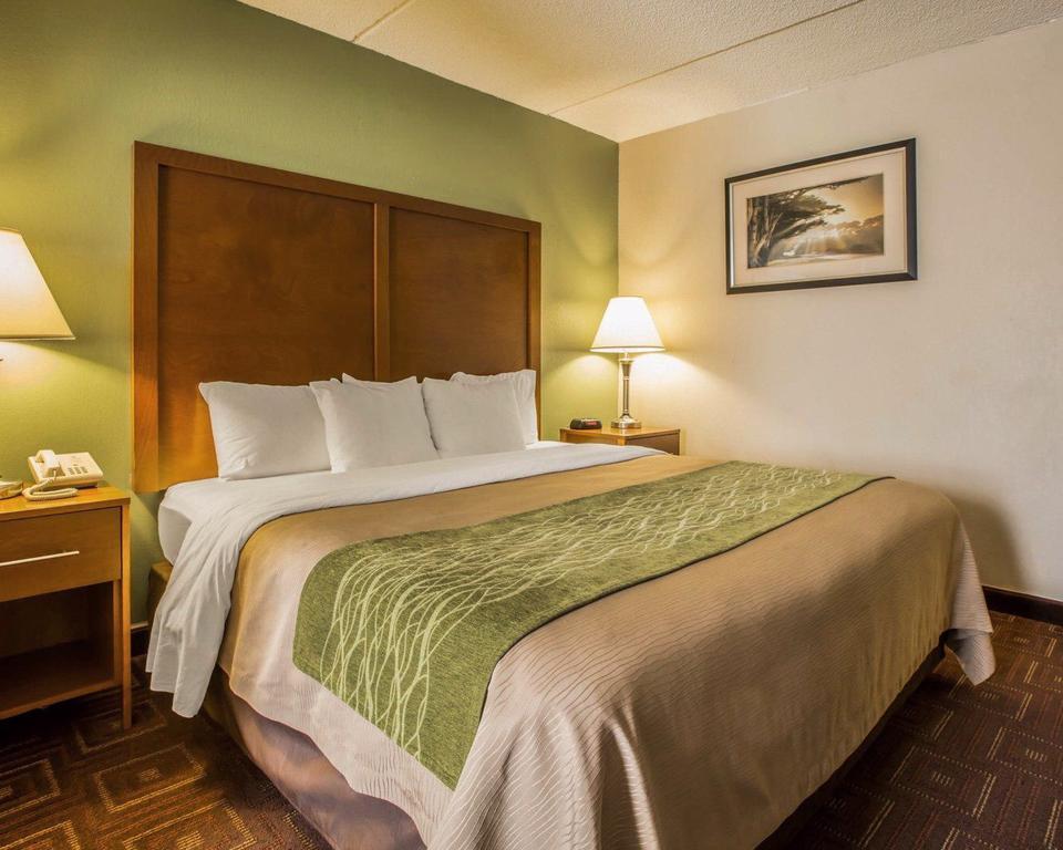 Comfort Inn Asheville Airport Fletcher Eksteriør bilde